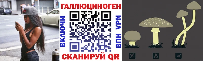 блэк спрут как зайти  как найти   Нижний Новгород  Псилоцибиновые грибы прущие грибы 