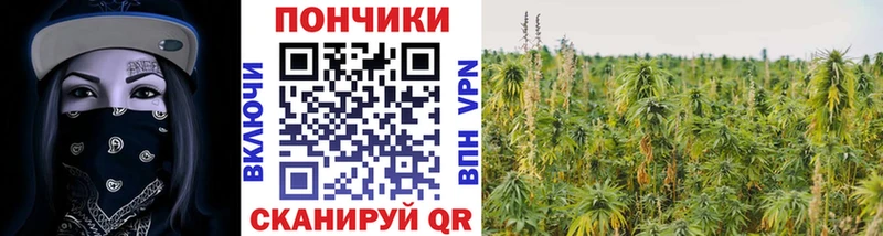 Шишки марихуана сатива Нижний Новгород